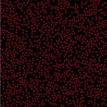 optika Random 33000 Dots DE-R 335 
